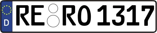 RE-RO1317