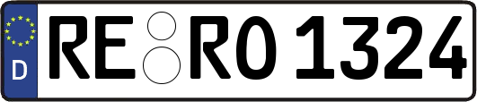 RE-RO1324