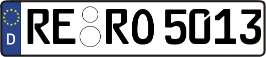 RE-RO5013