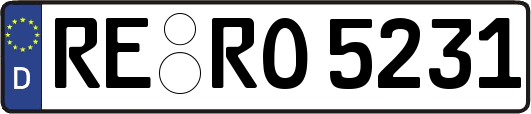 RE-RO5231