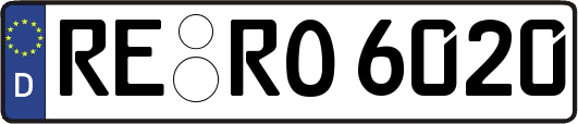 RE-RO6020