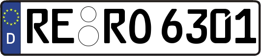 RE-RO6301