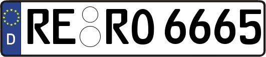 RE-RO6665
