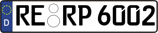 RE-RP6002
