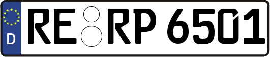 RE-RP6501