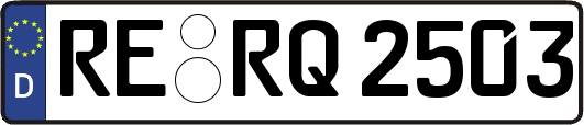 RE-RQ2503