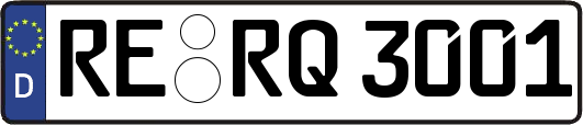 RE-RQ3001