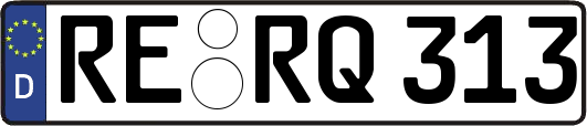 RE-RQ313
