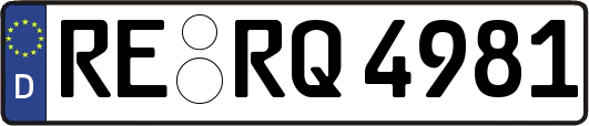 RE-RQ4981