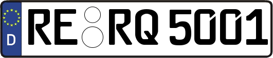 RE-RQ5001