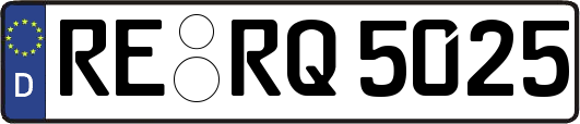 RE-RQ5025