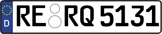 RE-RQ5131