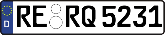 RE-RQ5231