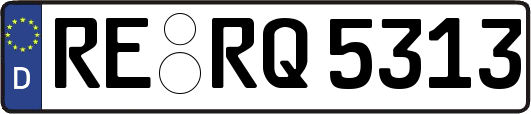 RE-RQ5313