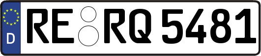 RE-RQ5481