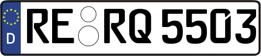 RE-RQ5503