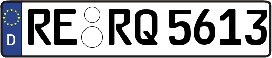 RE-RQ5613