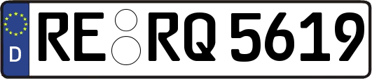 RE-RQ5619
