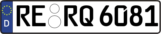 RE-RQ6081