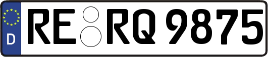 RE-RQ9875