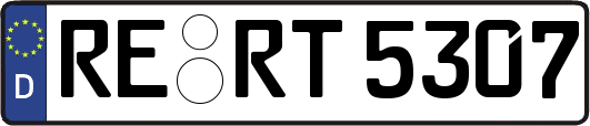 RE-RT5307