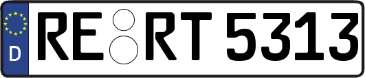 RE-RT5313