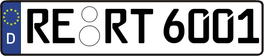 RE-RT6001