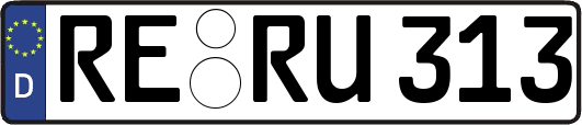 RE-RU313