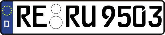 RE-RU9503