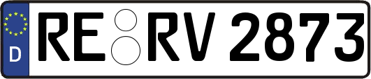 RE-RV2873