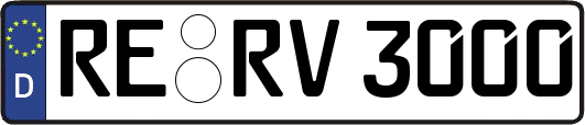 RE-RV3000
