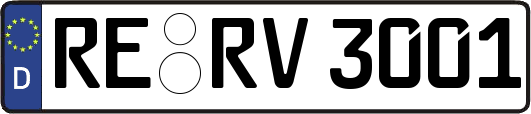 RE-RV3001