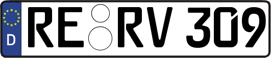 RE-RV309