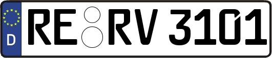 RE-RV3101