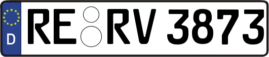 RE-RV3873