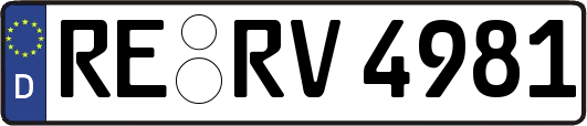 RE-RV4981
