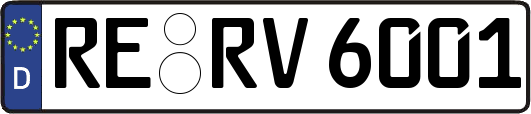 RE-RV6001