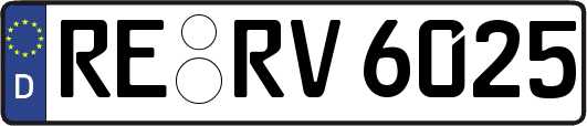 RE-RV6025