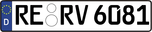 RE-RV6081