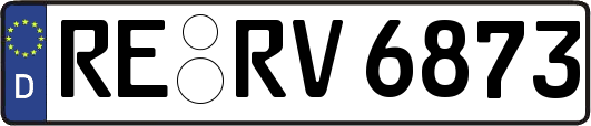 RE-RV6873