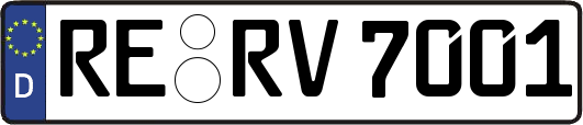 RE-RV7001