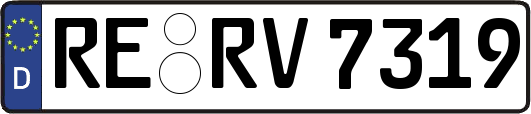 RE-RV7319
