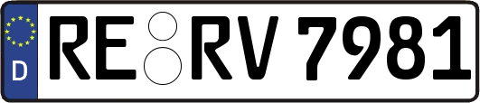 RE-RV7981