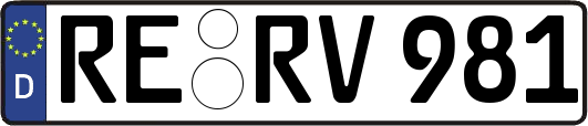 RE-RV981