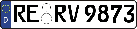 RE-RV9873