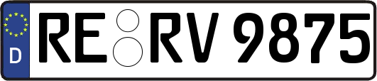 RE-RV9875