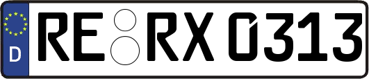 RE-RX0313