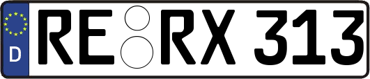 RE-RX313