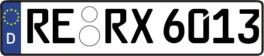 RE-RX6013