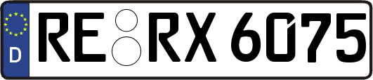 RE-RX6075